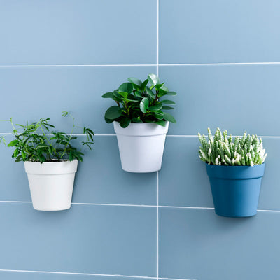 Best Wall Mounted Plastic Flower Pots