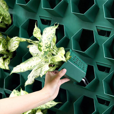 Landscaping Planting Flower Pots For Greening