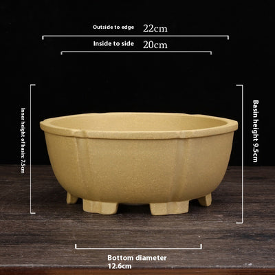 Purple Sand Orchid Pots Household Round Balcony Decoration