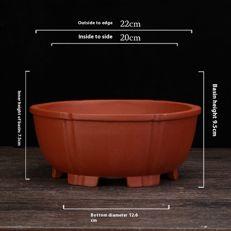 Purple Sand Orchid Pots Household Round Balcony Decoration