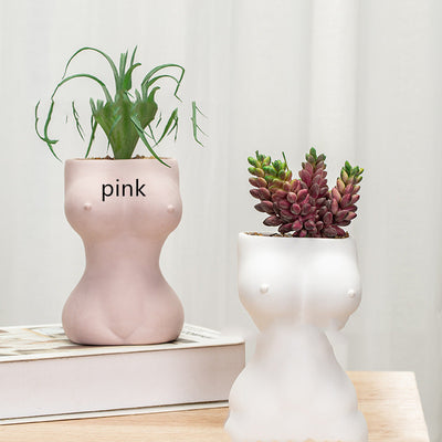 Decorative Ornaments Ceramic Crafts Flower Pots