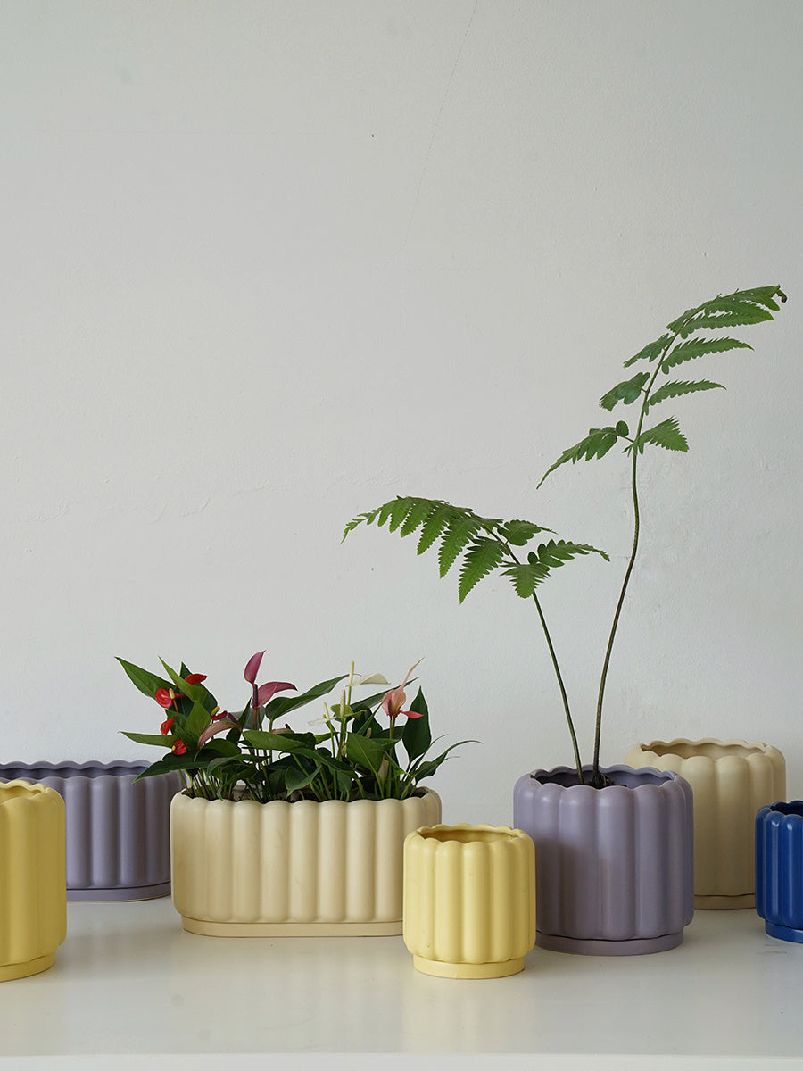 Biscuit Design Ceramic Planter Pot