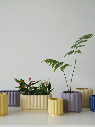 Biscuit Design Ceramic Planter Pot