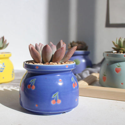 Ceramic Printed Hand Painted Succulent Flower Pots