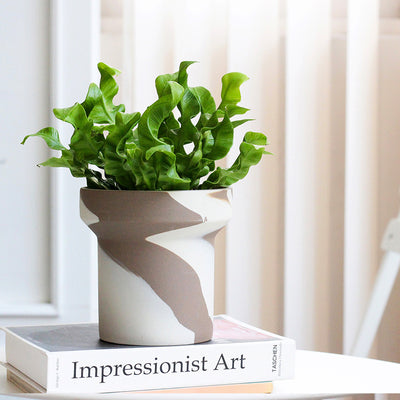 Ceramic Succulent Fern Tuber Planters