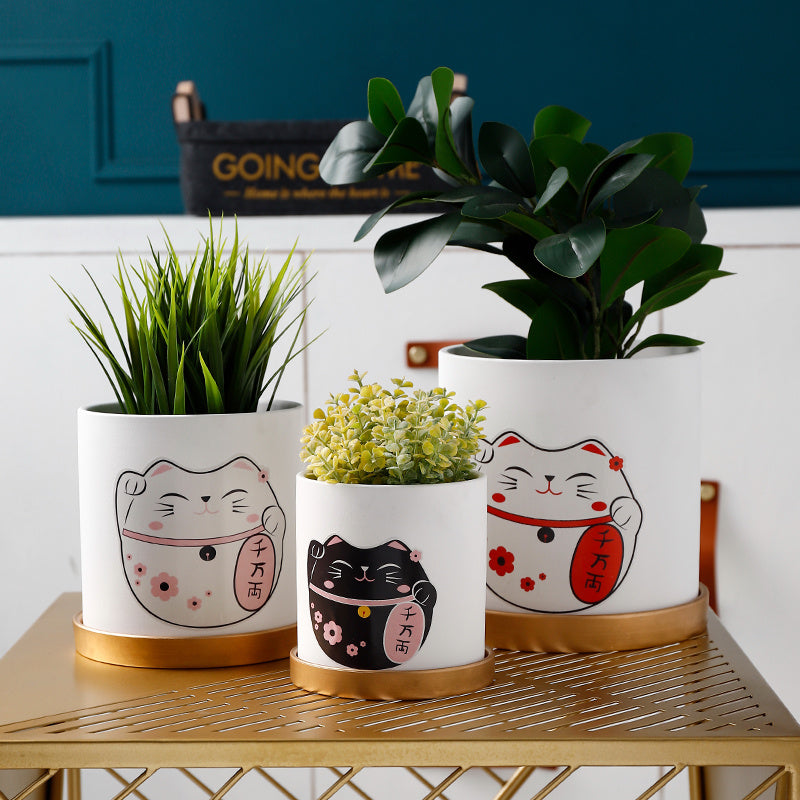 Best Succulent green plant pots