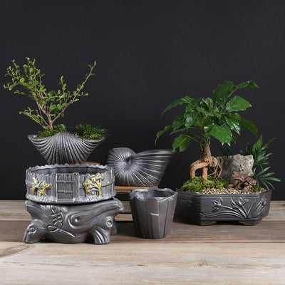 Ceramic Black Purple Sand Orchid Pots Plant Indoor