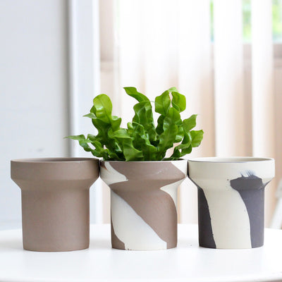 Ceramic Succulent Fern Tuber Planters