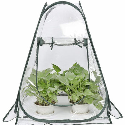 Flowers Antifreeze Greenhouse And  Outdoor Garden Plants