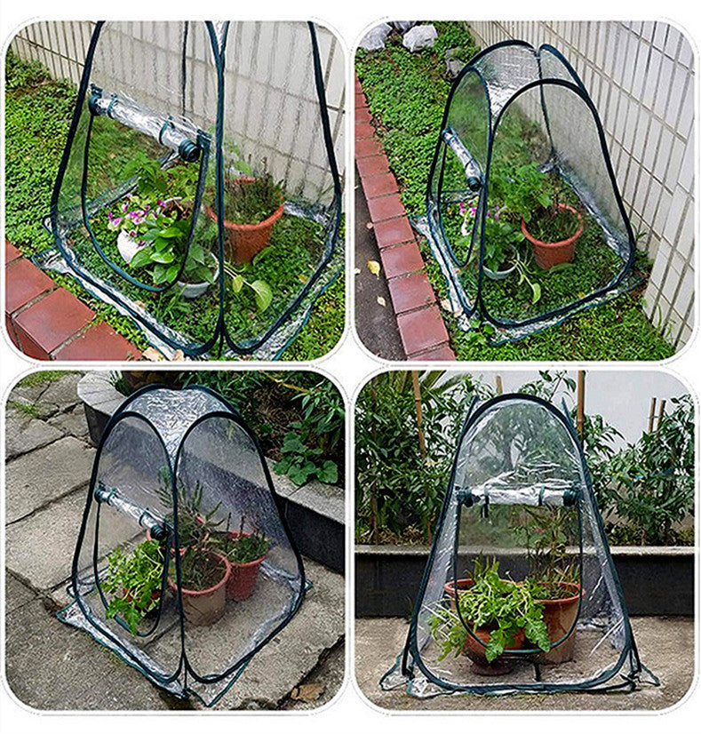 Flowers Antifreeze Greenhouse And  Outdoor Garden Plants