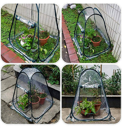 Flowers Antifreeze Greenhouse And  Outdoor Garden Plants