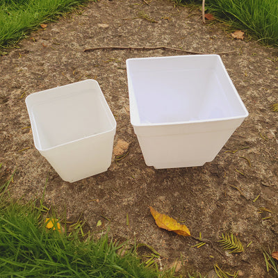 Plastic Square Pots Small Black Square Color Pots and Mini Flower Pots