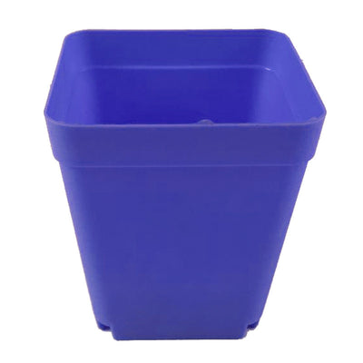 Plastic Square Pots Small Black Square Color Pots and Mini Flower Pots