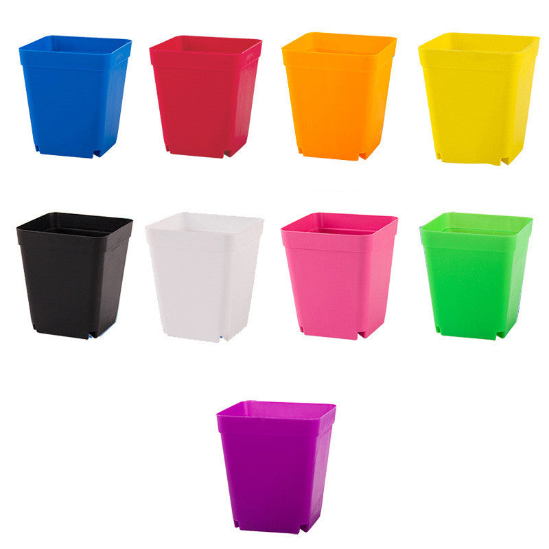 Plastic Square Pots Small Black Square Color Pots and Mini Flower Pots