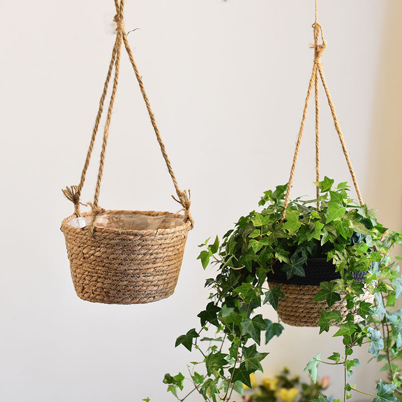Best Hanging Straw Flower Baskets