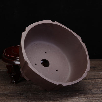 Purple Sand Orchid Pots Household Round Balcony Decoration