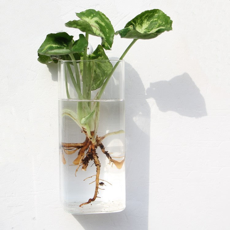 Aquarium Container Flower Planter Pots Home Garden Decoration