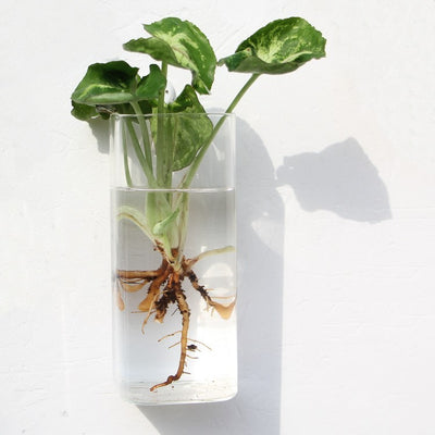 Aquarium Container Flower Planter Pots Home Garden Decoration