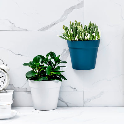 Best Wall Mounted Plastic Flower Pots