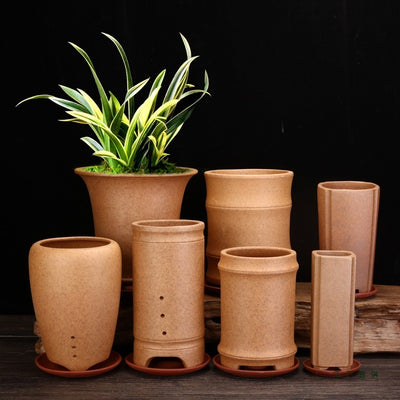 Best Firewood Purple and Sand Orchid Pots Planters