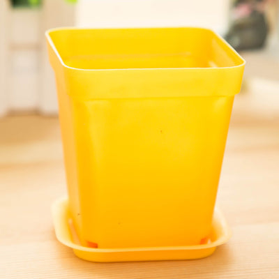 9798 Mini colorful small pots wholesale plastic pots of potted plants with fleshy desktop tray