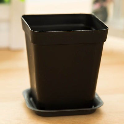 9798 Mini colorful small pots wholesale plastic pots of potted plants with fleshy desktop tray