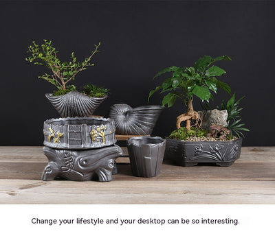 Ceramic Black Purple Sand Orchid Pots Plant Indoor