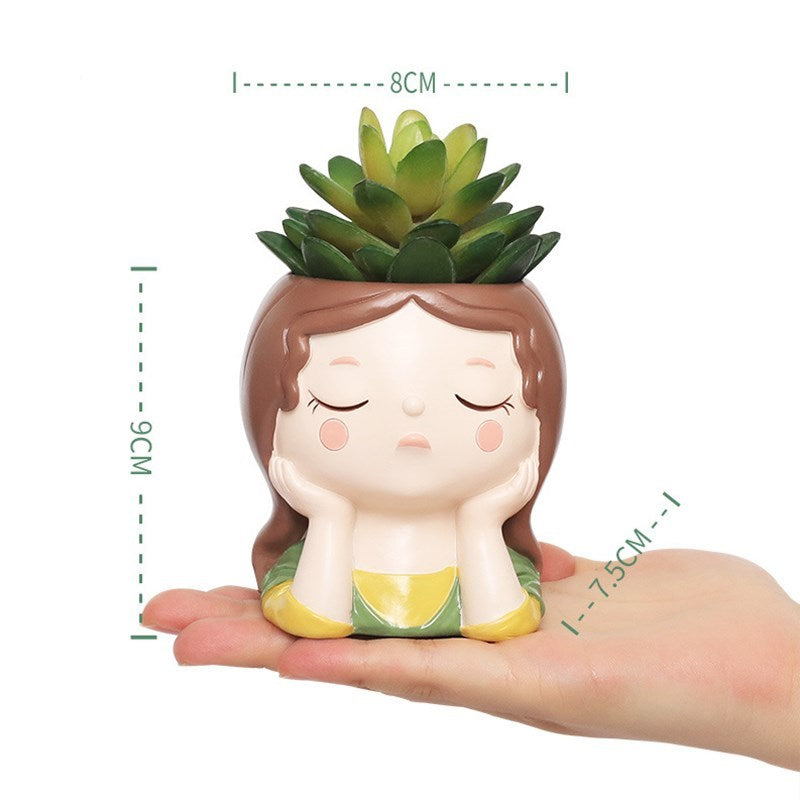 Succulent Pots For Gardening Plants