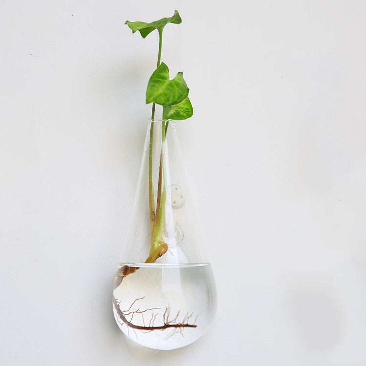 Aquarium Container Flower Planter Pots Home Garden Decoration