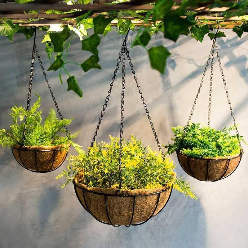 Hanging Flower Basket Garden