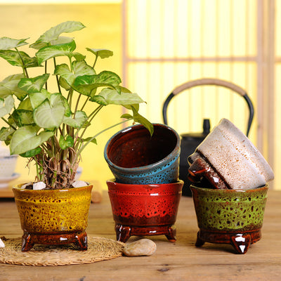 Succulent Pots Medium And High Temperature
