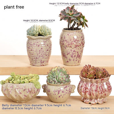 Succulent Flower Pot Ceramic Stoneware