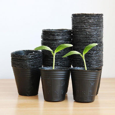 Plastic Planting Flowers In Nursery Pots Cultivating Thickening