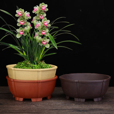 Purple Sand Orchid Pots Household Round Balcony Decoration