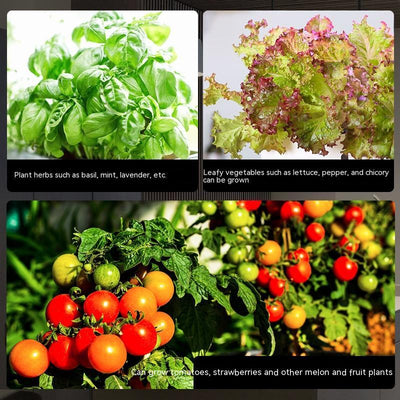Vegetable Planter Indoor Soilless