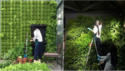 Wall Mount Hanging Garden Planting Bags