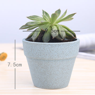 Series Flower Pot Macaron
