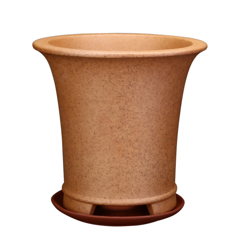 Best Firewood Purple and Sand Orchid Pots Planters