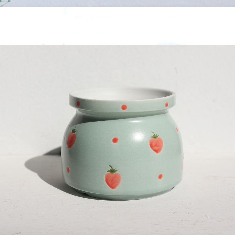 Ceramic Printed Hand Painted Succulent Flower Pots