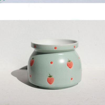 Ceramic Printed Hand Painted Succulent Flower Pots