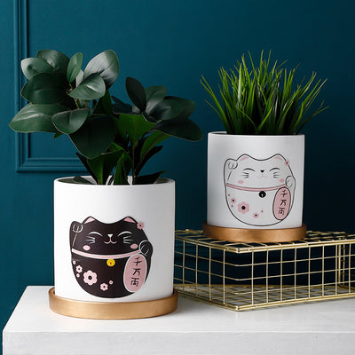 Best Succulent green plant pots