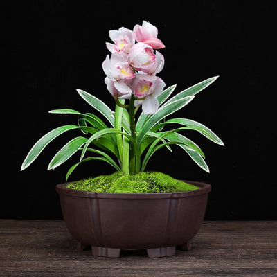 Purple Sand Orchid Pots Household Round Balcony Decoration