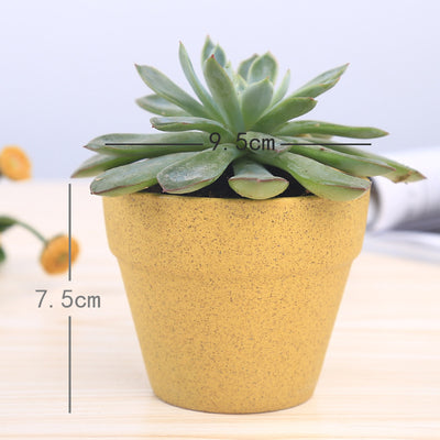 Series Flower Pot Macaron