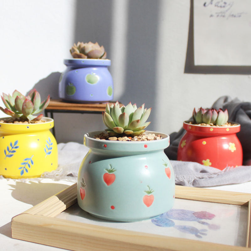 Ceramic Printed Hand Painted Succulent Flower Pots