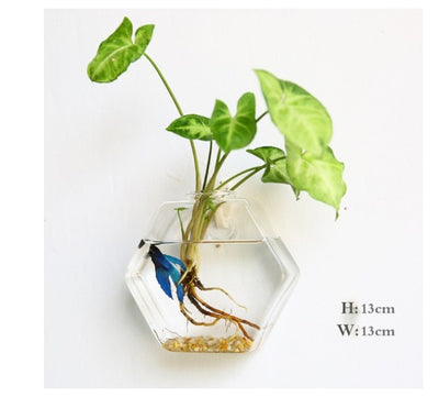 Aquarium Container Flower Planter Pots Home Garden Decoration
