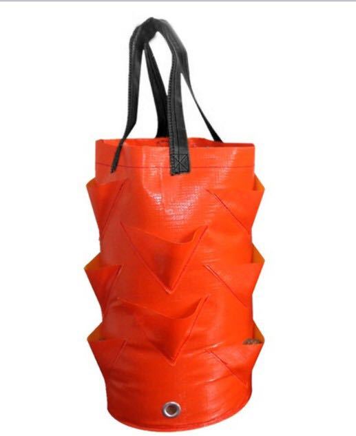 Multi-Mouth Plant Pot Strawberry Planting Growing Bag Gallons