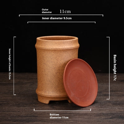 Best Firewood Purple and Sand Orchid Pots Planters