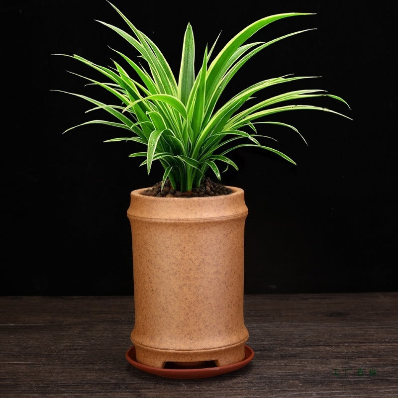 Best Firewood Purple and Sand Orchid Pots Planters