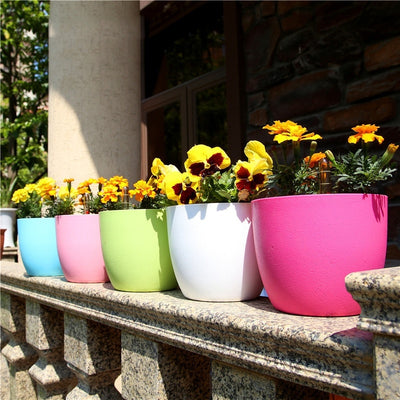 Plastic Flower Pots To Automatically Absorb Water