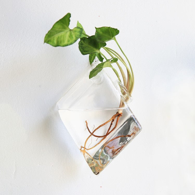 Aquarium Container Flower Planter Pots Home Garden Decoration
